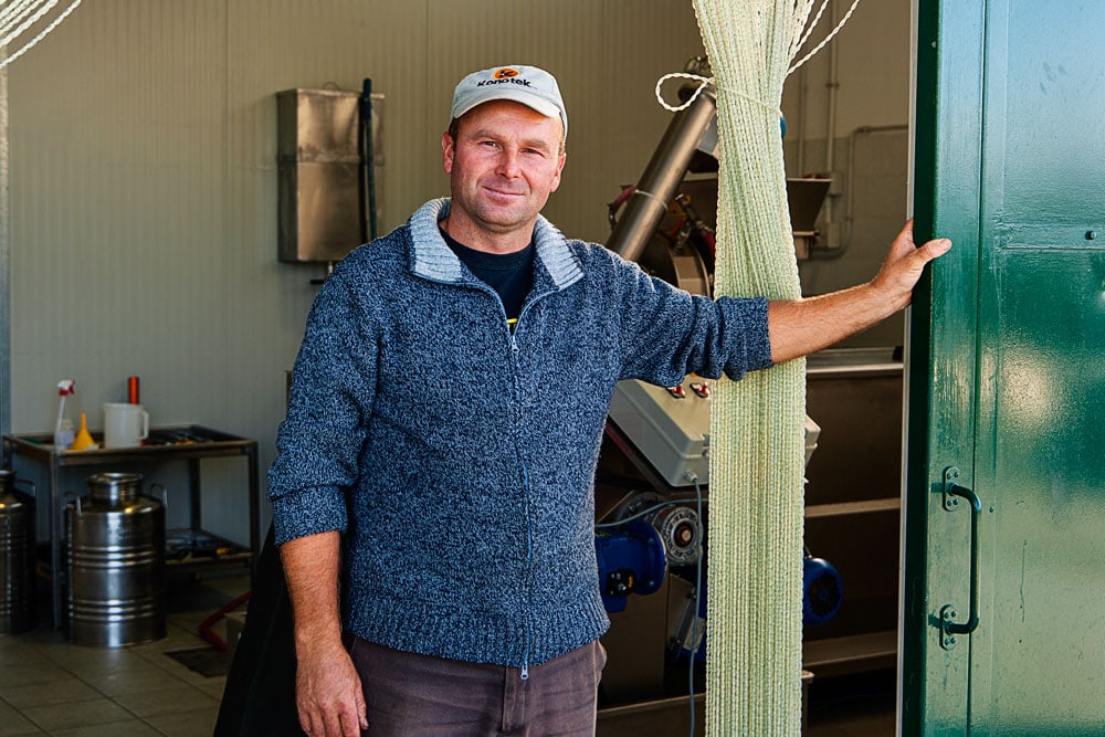 Olivenöl «Cerasuola» Extra Vergine (2x 750ml) – Bild 3