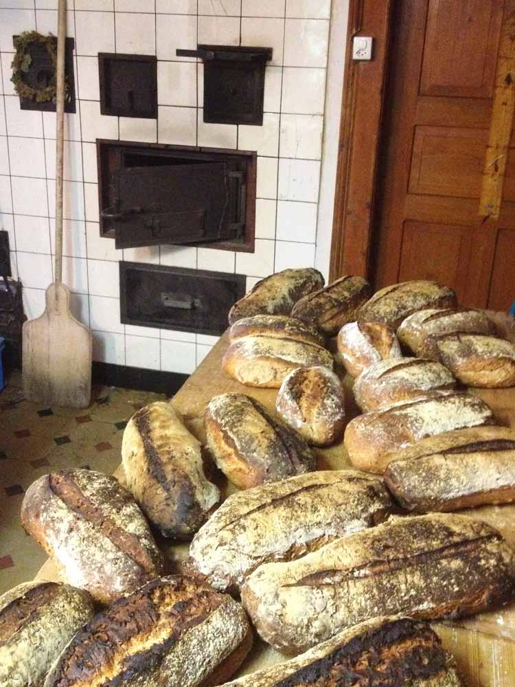 Brot aus Dinkelmehl