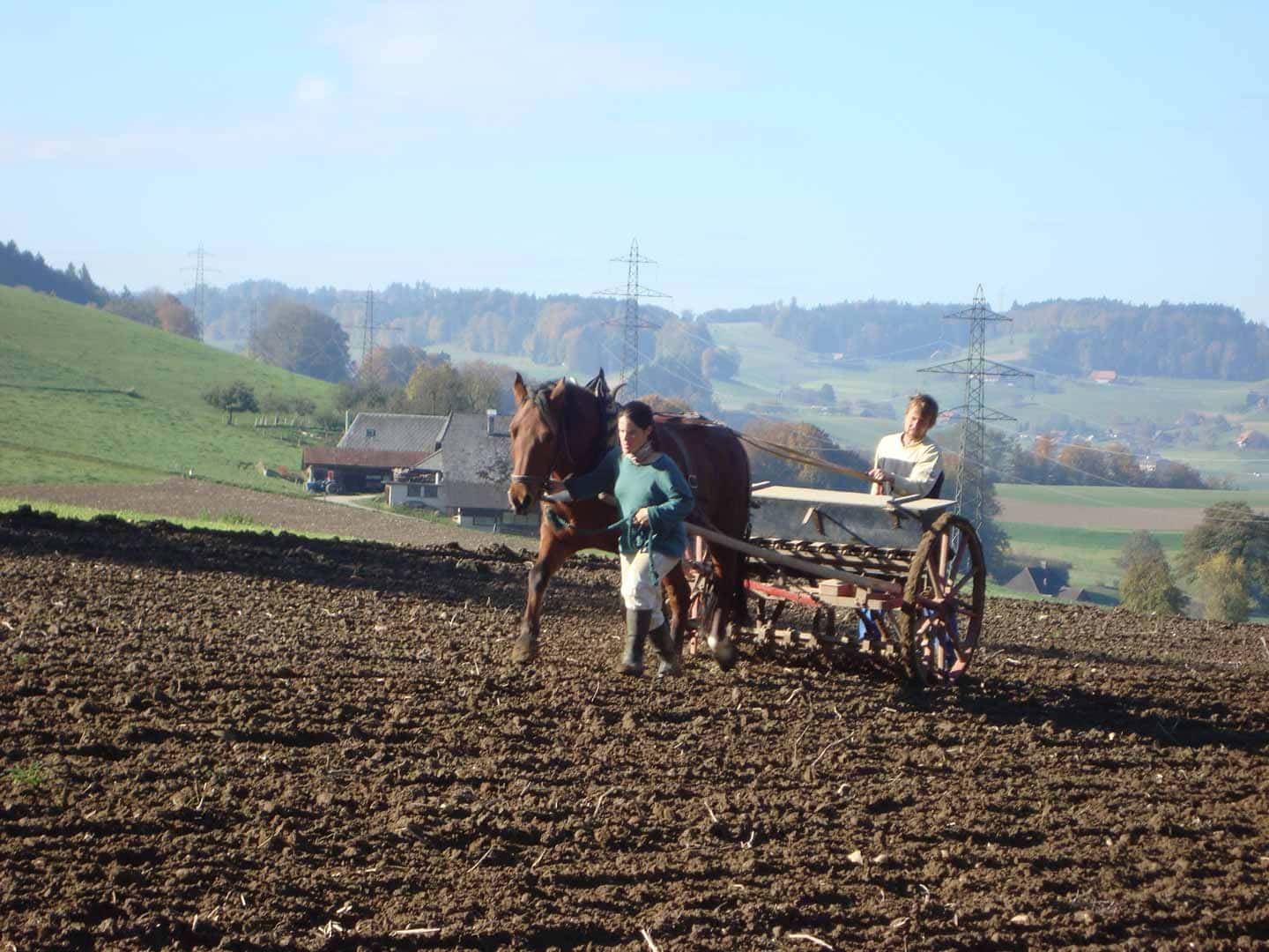 Schweizer Bauer Madiswil