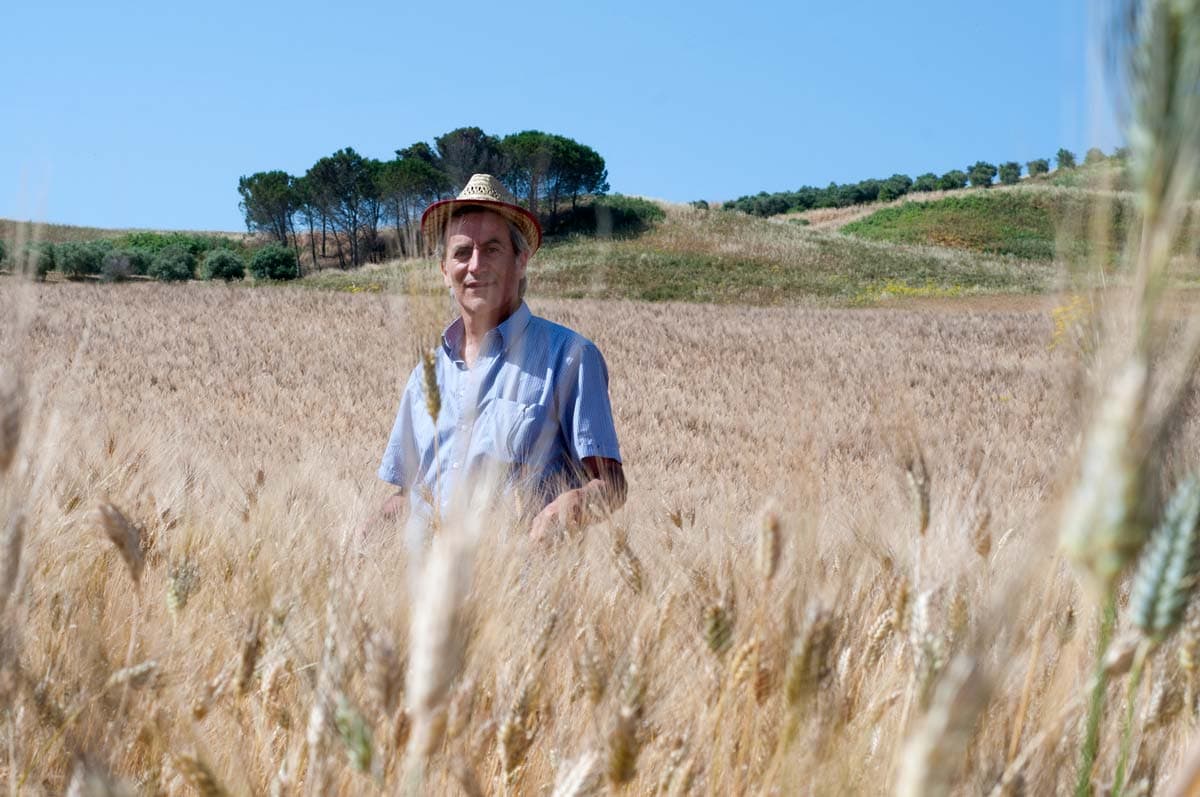 Hartweizenmehl, «Timilia» (1kg) - Image 2