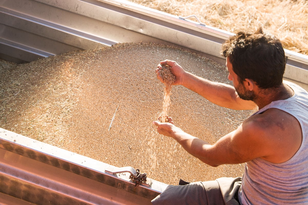 Bastoncini aus «Timilia» Hartweizen (2x 200g) – Bild 4