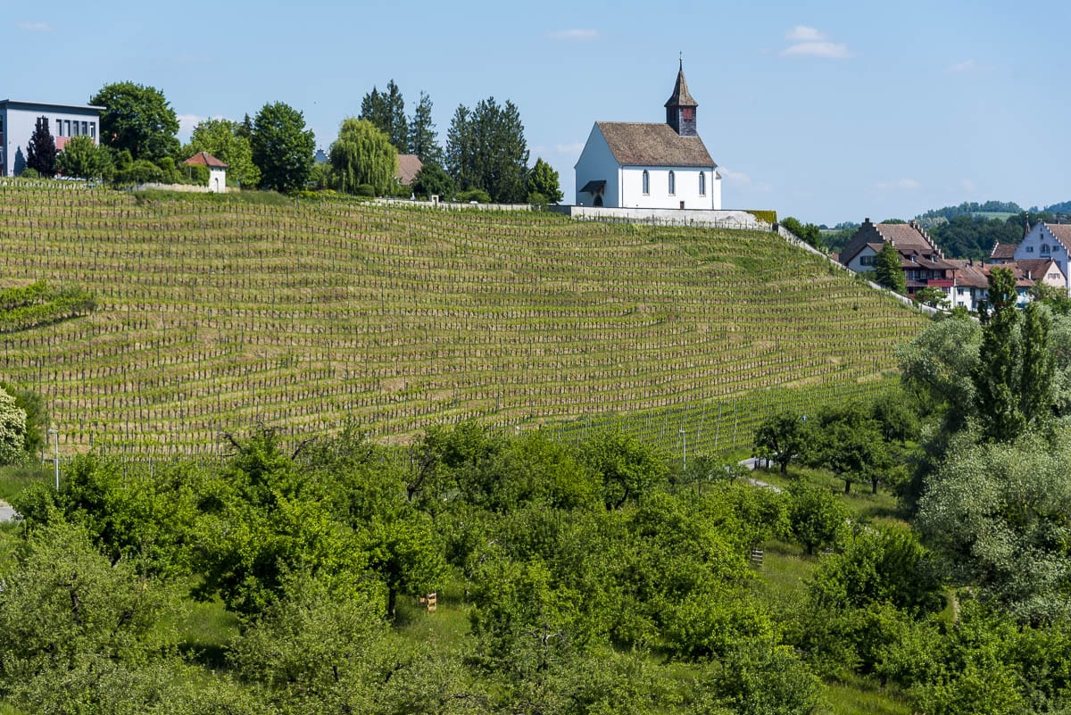 Weisser Traubensaft (1 Liter) - Image 3
