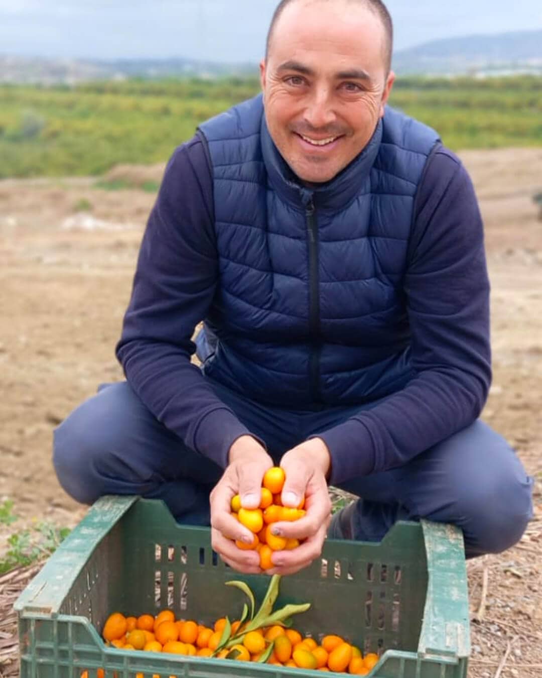 Orangen, Grapefruits, Kumquat (5kg pro Kiste) –<br>Abholung im revendo Basel – Bild 4