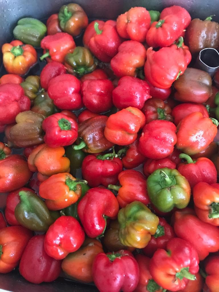 Getrocknete Peperoni (2x 50g) - Image 3