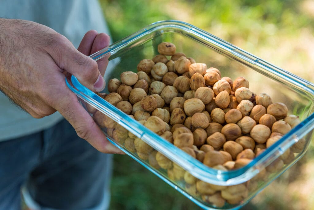 Haselnuss-Projekt-Stefan-Gerber-Crowd-Container4
