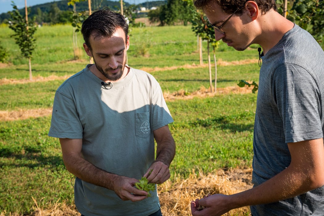 Haselnuss-Projekt-Stefan-Gerber-Crowd-Container5