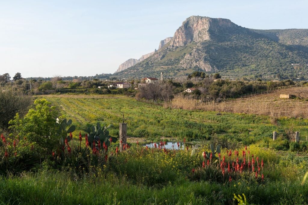 220315_Food_Forest_klein