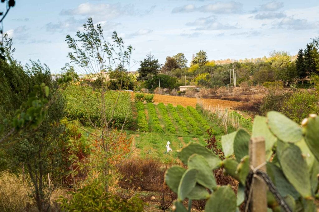 CC_FoodForest_FB_72dpi_IMG-6553