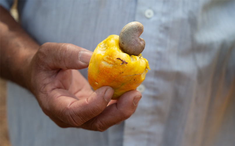 Cashewmus (2x 190g) – Bild 3