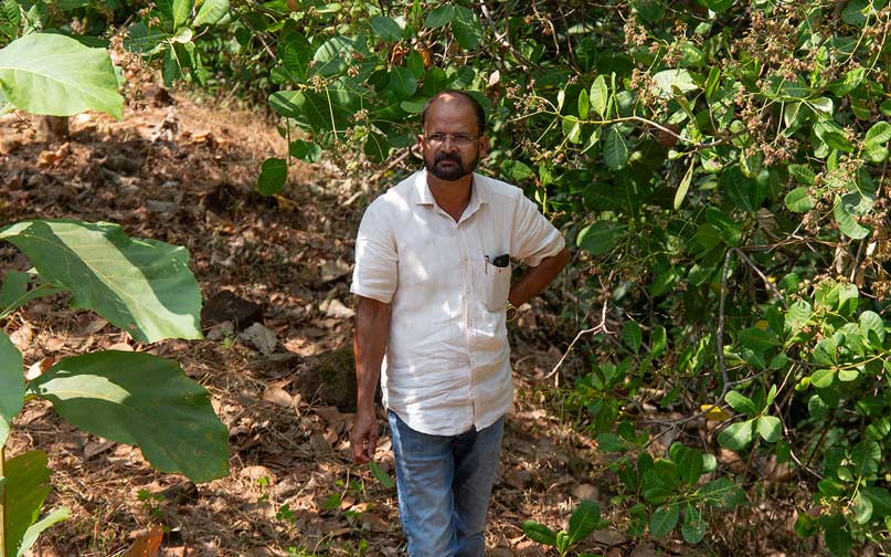 Cashewmus (2x 190g) – Bild 5