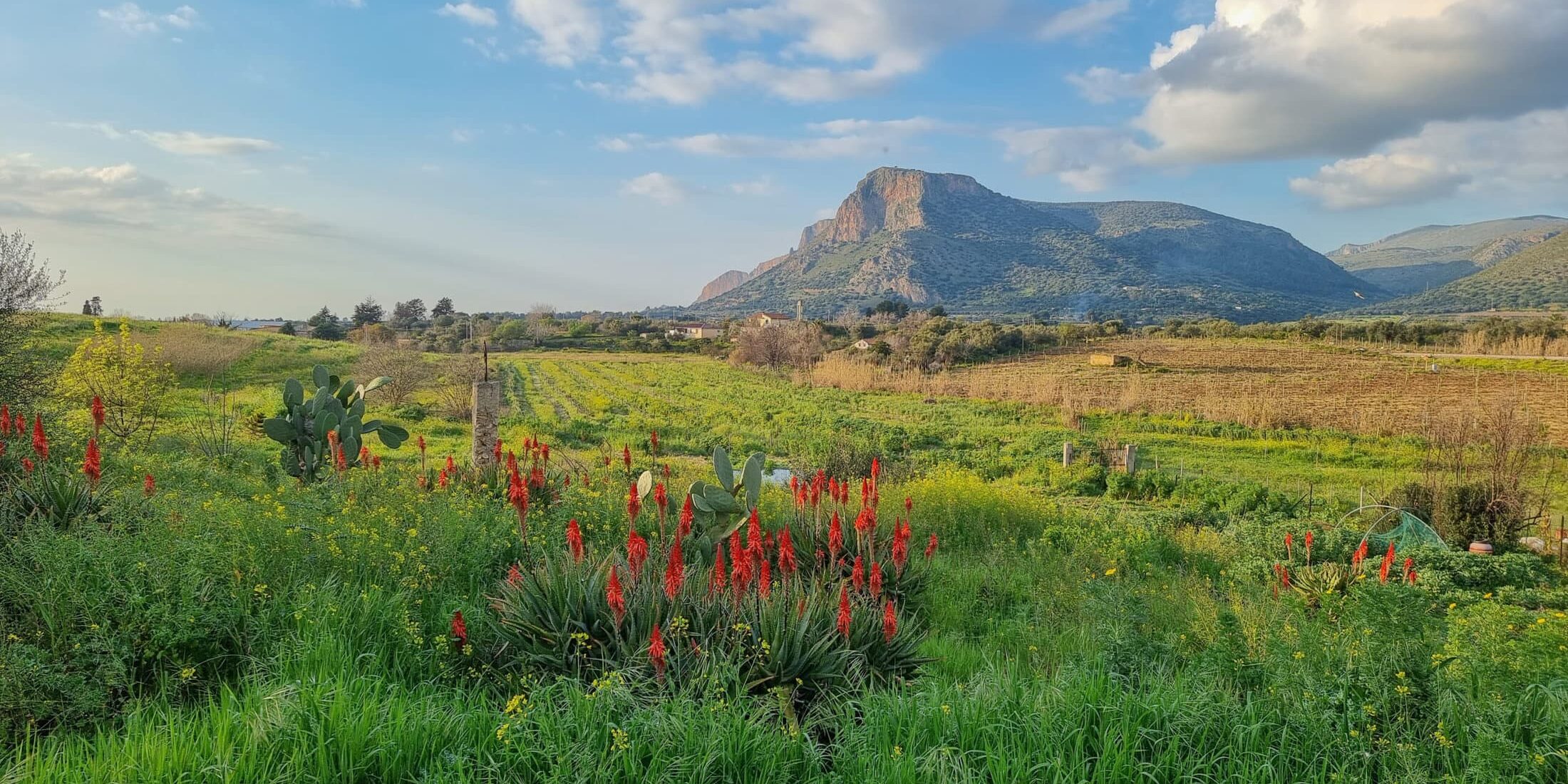 Food Forest auf Sizilien