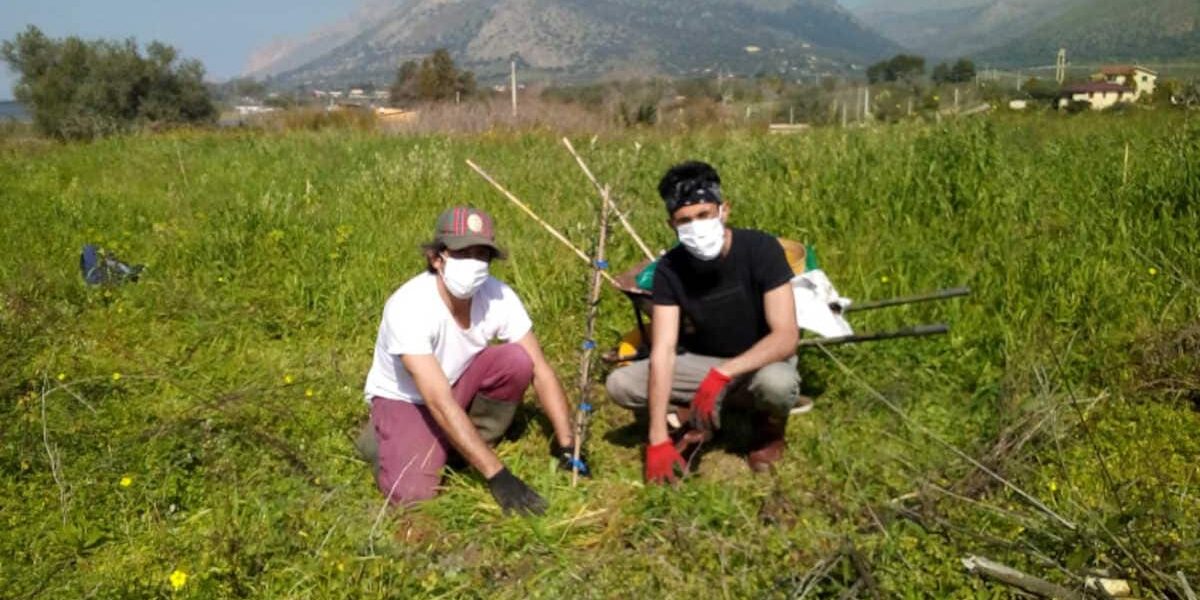 Food-Forest-Baumpflanzung