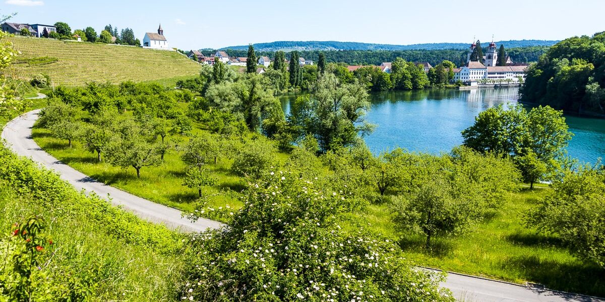 The Rheinau estate is located in the middle of the striking and idyllic Rhine meander and is run biodynamically
